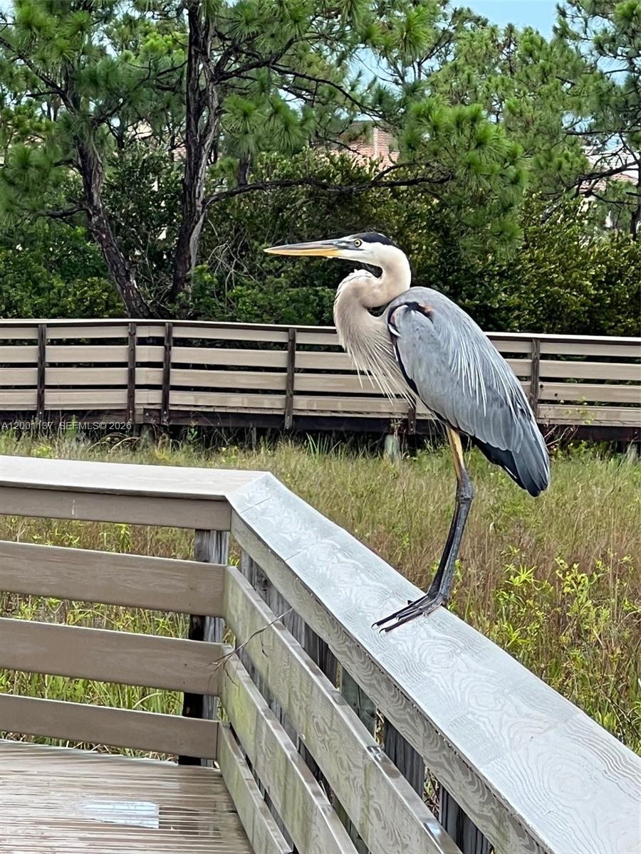 BOTANICA - Residential Lease