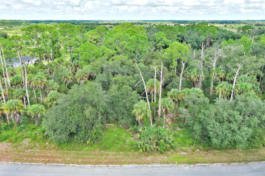 Exclusively presented by Sunland Real Estate: Prime residential vacant 0.23-acre land located on Sparkle Drive in the desirable Banyan Village community of Port LaBelle, FL. This is a fantastic opportunity to build your custom Florida residence from the ground up! The lot offers a great footprint for a new home design. Enjoy the peaceful, developing neighborhood known for its quiet atmosphere and proximity to the conveniences of LaBelle. Build now and secure your spot in this growing​​‌​​​​‌​‌​​​‌‌​​​‌‌‌​​‌​​‌‌​​​​ area.