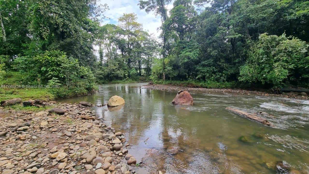 COSTA RICA Dos Rios Upala