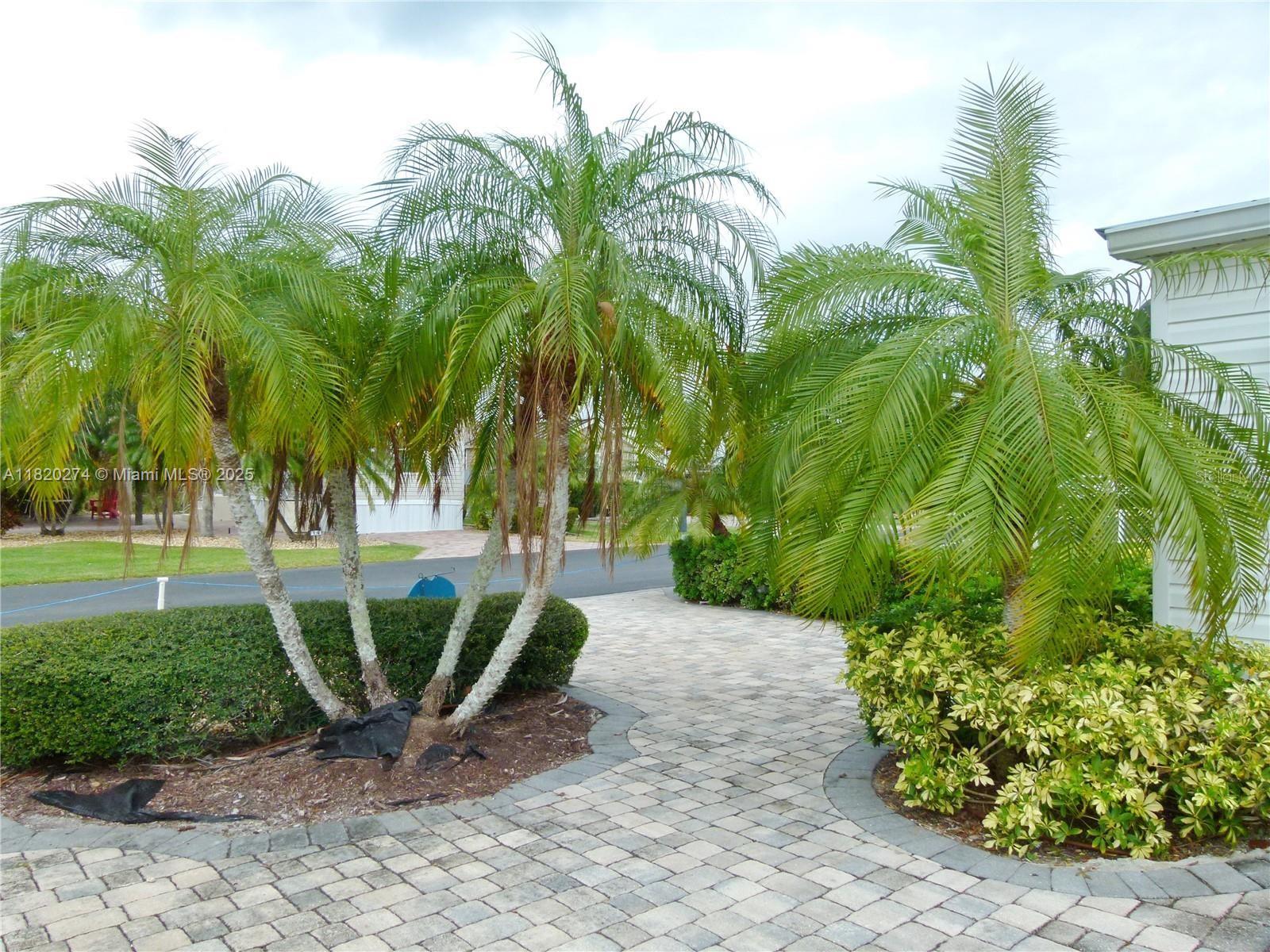 Silver Palms RV Resort - Land