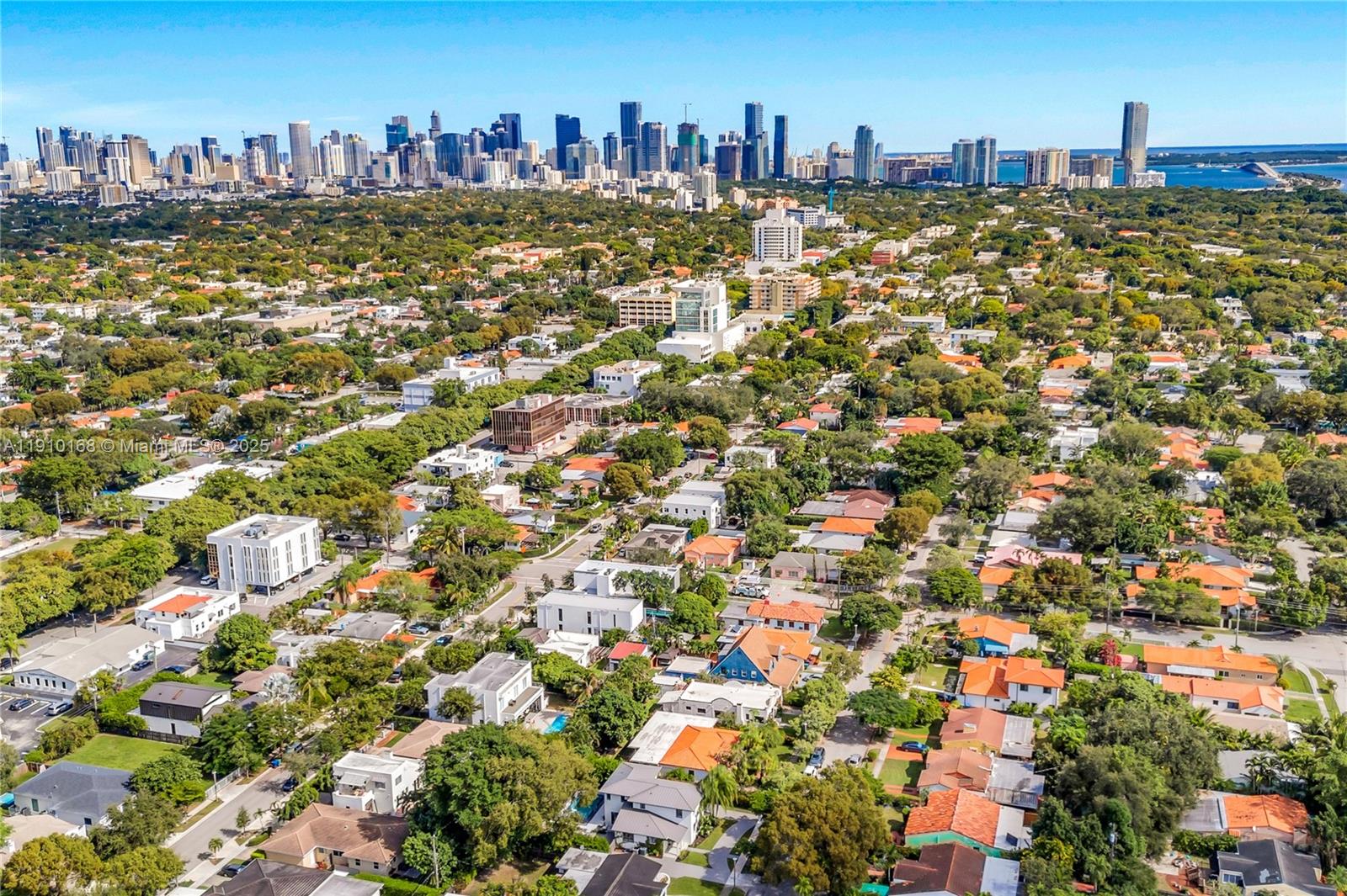 NEW SHENANDOAH - Residential Lease