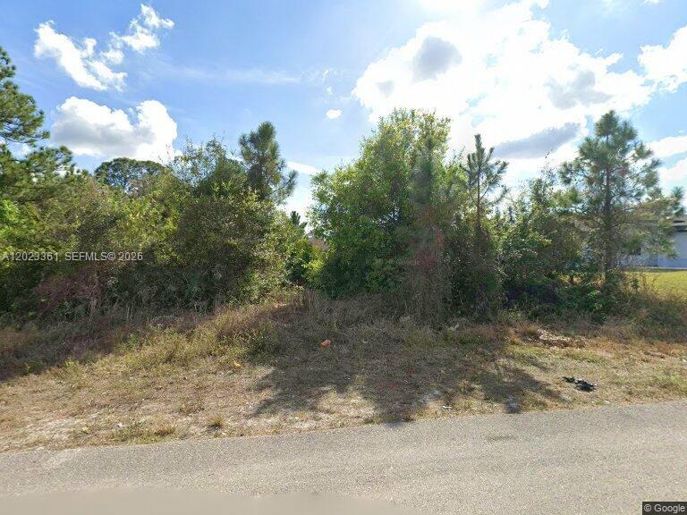 Lehigh Acres - Land