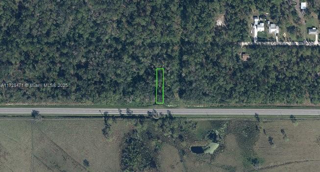 OWNER WILL FINANCE 3,000 DOWN 370.53 PER MONTH FOR 36 MONTHS AT 7% INTREST. Commercial land. Zoned as B2 Commercial. Orange Blossom is a fast-growing area with a lot of new homes. Great investment for now or to build later.