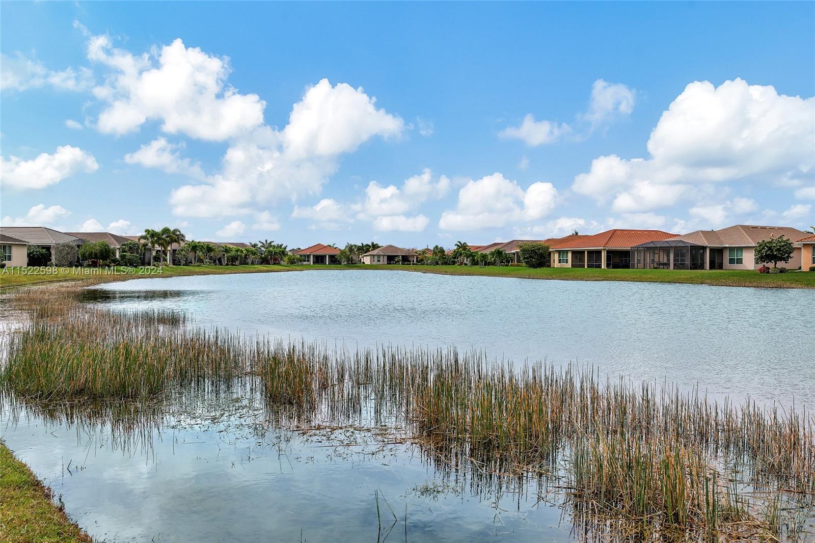 Vitalia at Tradition - Residential