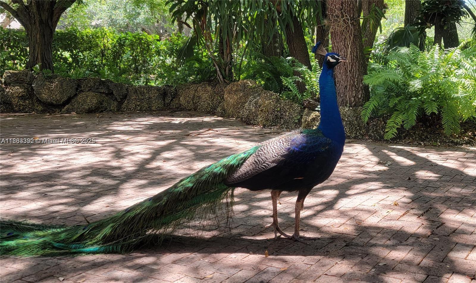 WENDAN SUB - Residential