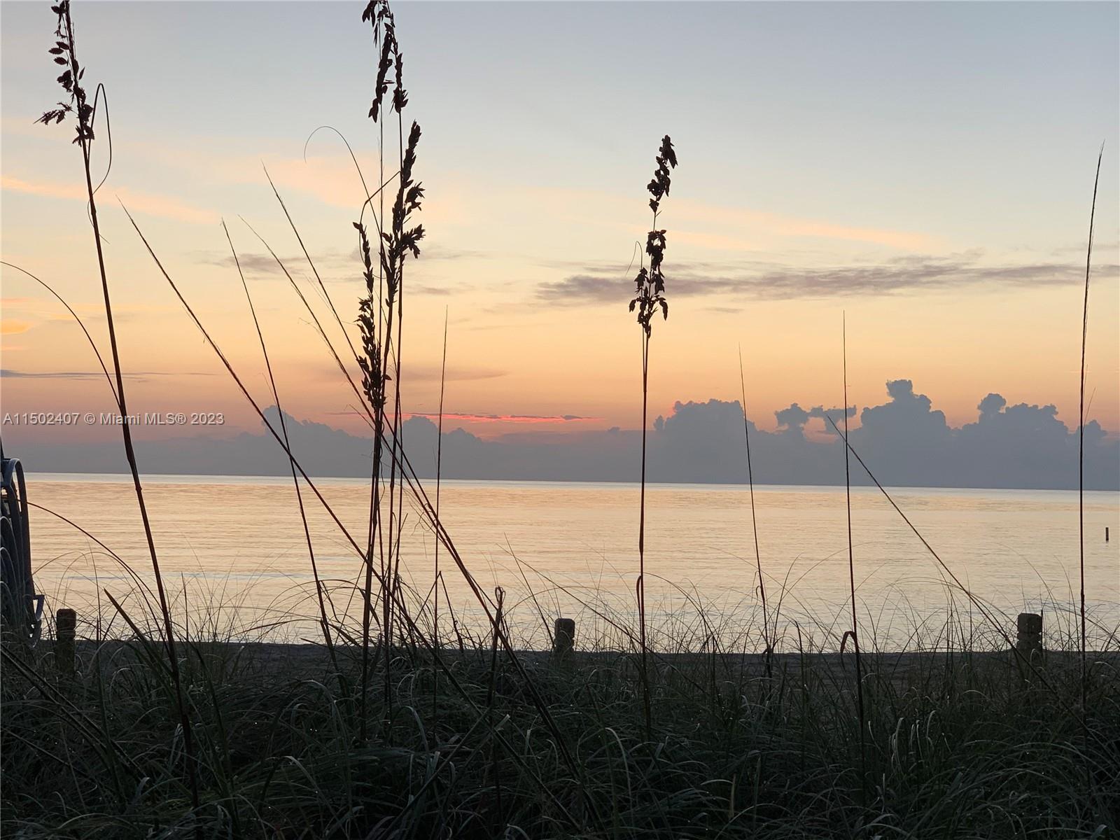 BALMORAL CONDO - Residential Lease