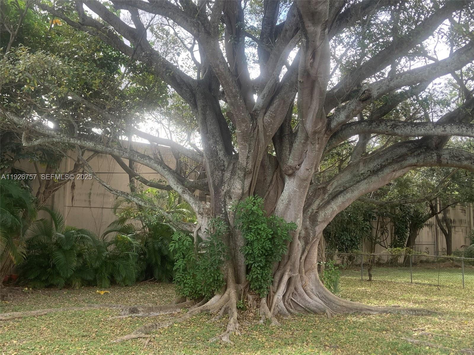 IVES ESTATES SEC 1 - Residential