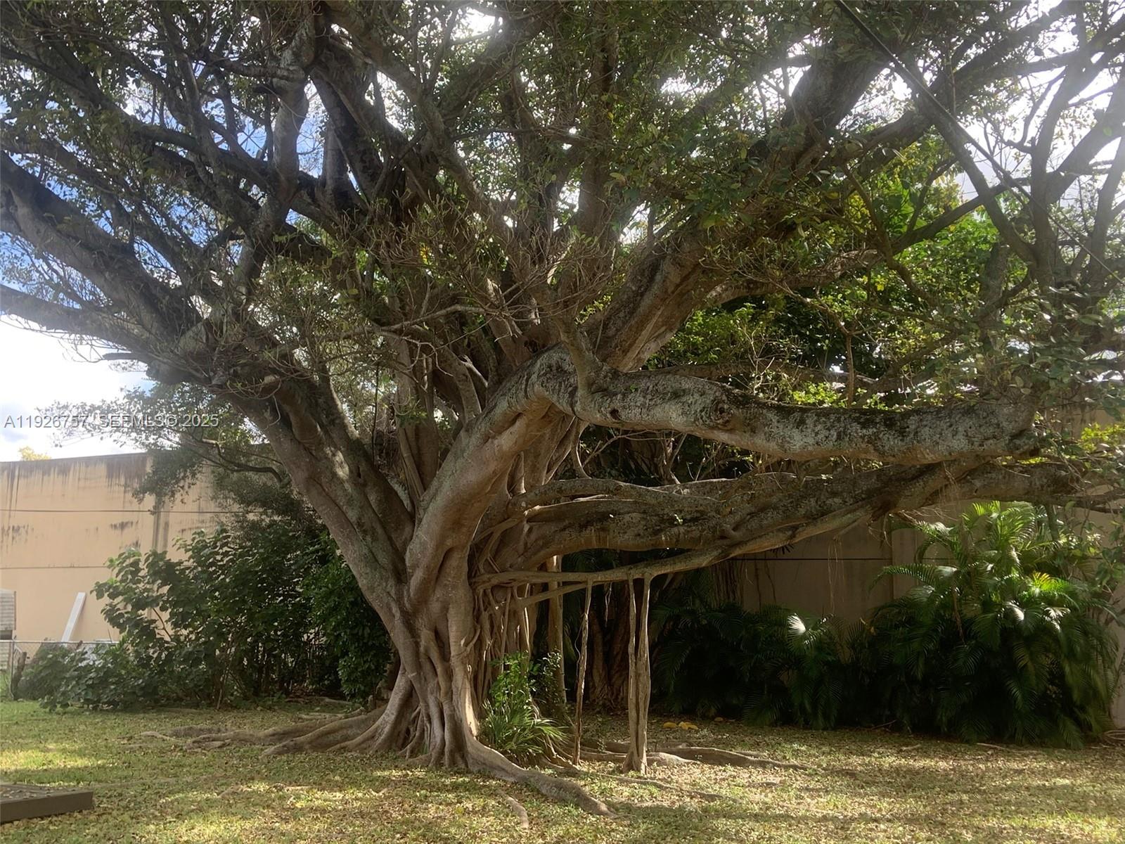 IVES ESTATES SEC 1 - Residential