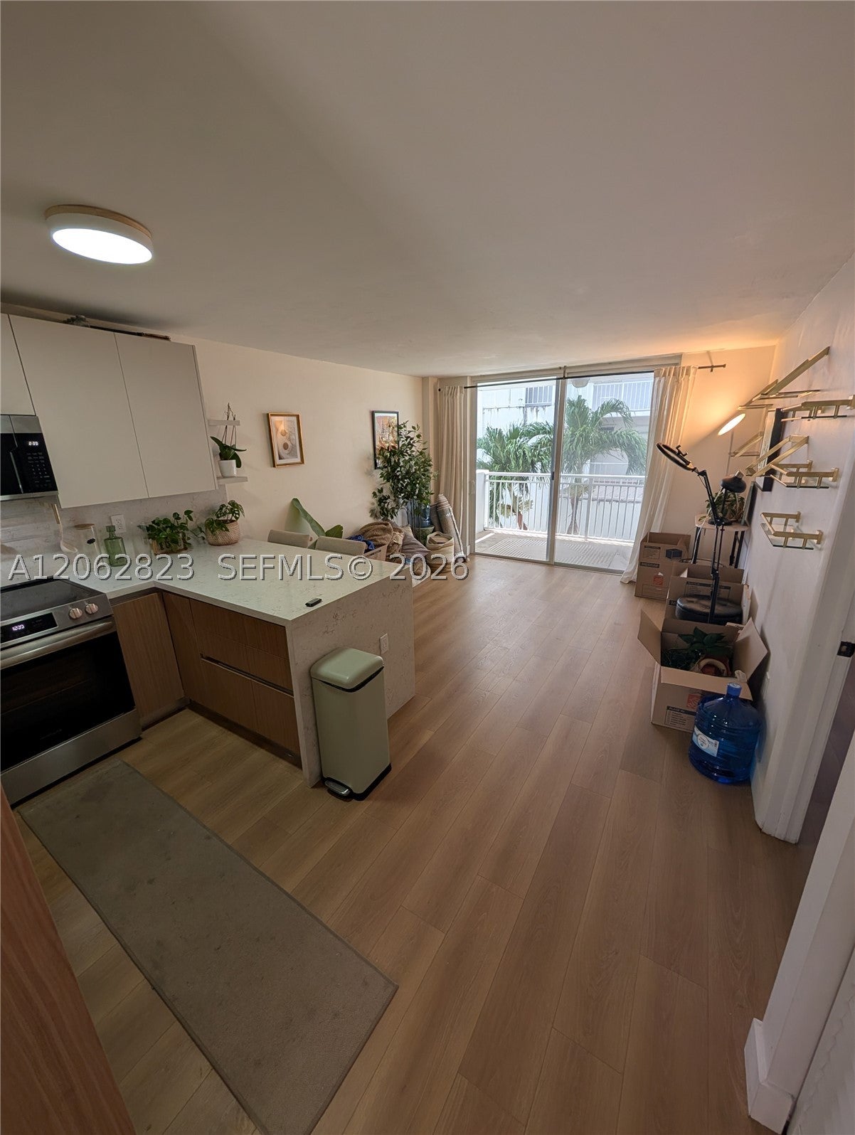 1666 West Ave 305