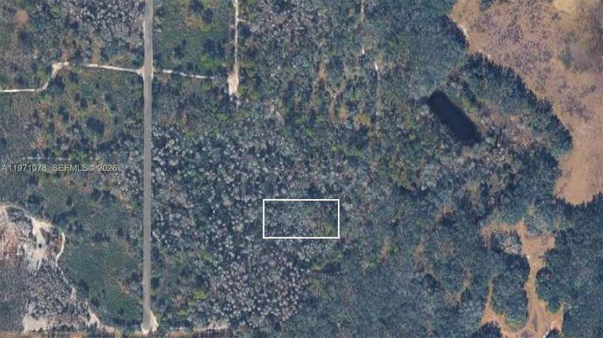 Rare opportunity to own 1.25 acres of vacant land in Kathleen, 33849. This lot has no road access and cannot built on. Rancho Bonito Community is exclusive and gated for land owners and welcomes trucks, buggies, and ATVs to try their mud holes trails. A great place to enjoy mother nature.