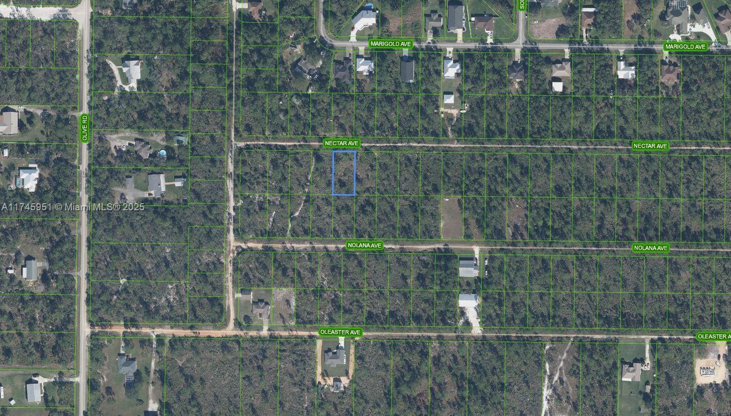 ORANGE BLOSSOM UNITS 1-7 S - Land