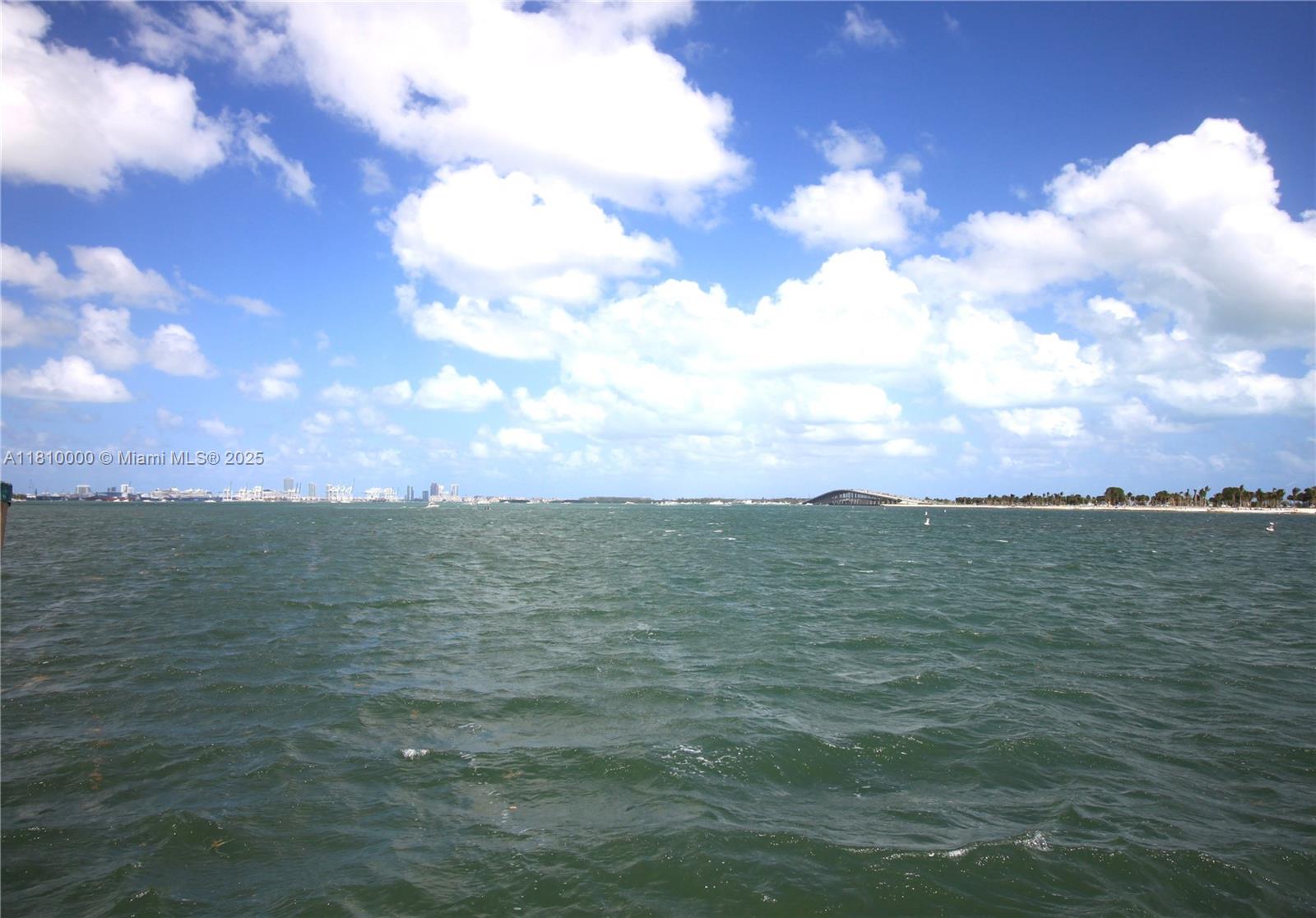 BRICKELL BISCAYNE CONDO - Residential