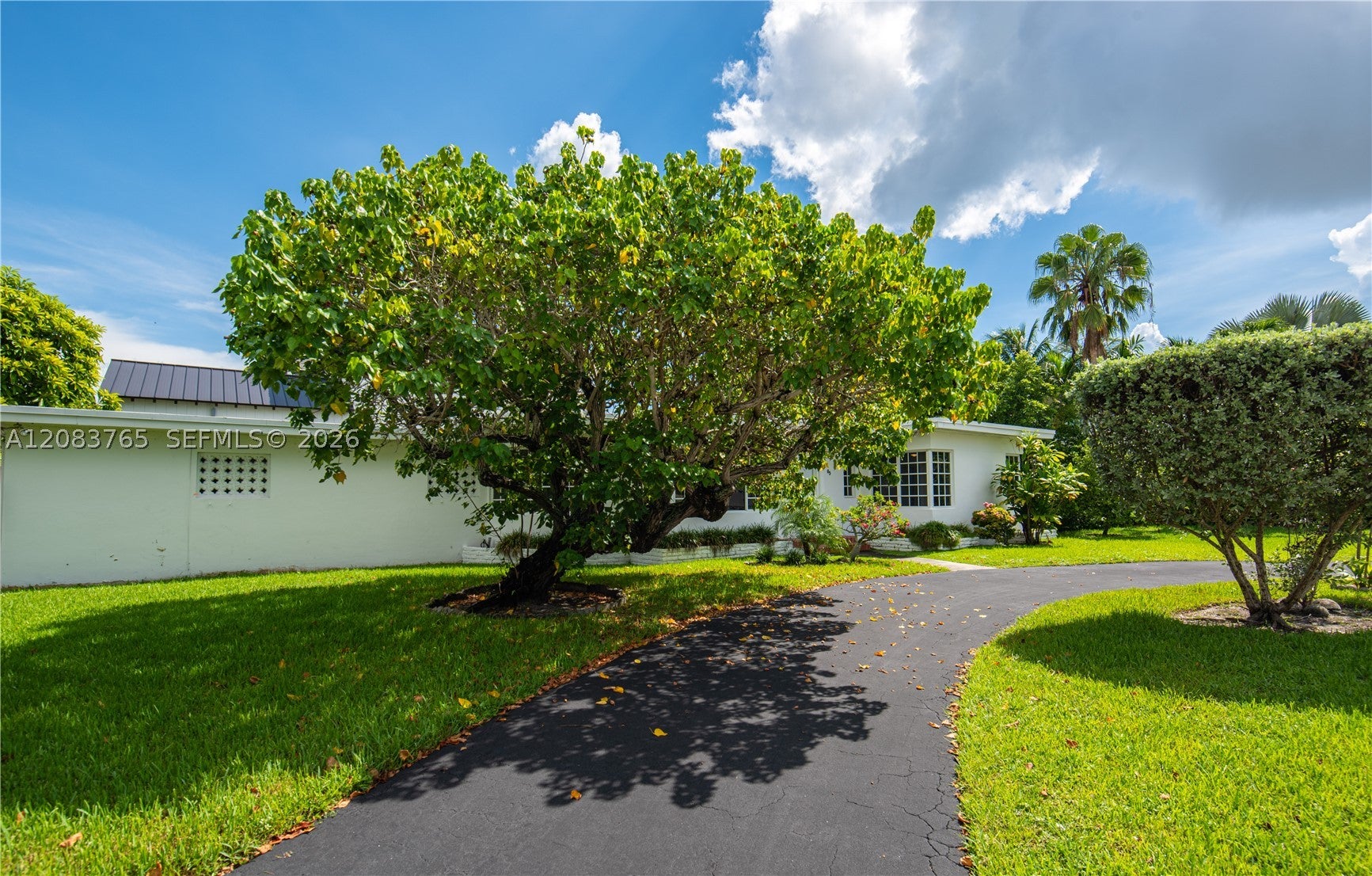 85 S Hibiscus Dr