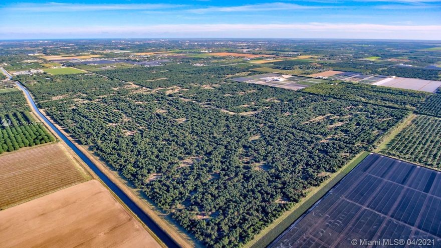 330 acres of producing avocado groves for sale.  The property is comprised of a 240-acre contiguous piece on the intersection of 280th street and SW 207th Avenue and a 90-acre contiguous piece just down the street on SW 207th Avenue and 288th Street (Biscayne Dr) which leads directly to US-1. This is a rare opportunity to own the largest avocado-producing grove on the market in South Florida. Family-owned for the past fifty (50) years, this one-of-a-kind property produces approximately 10% of the avocados grown in Florida.