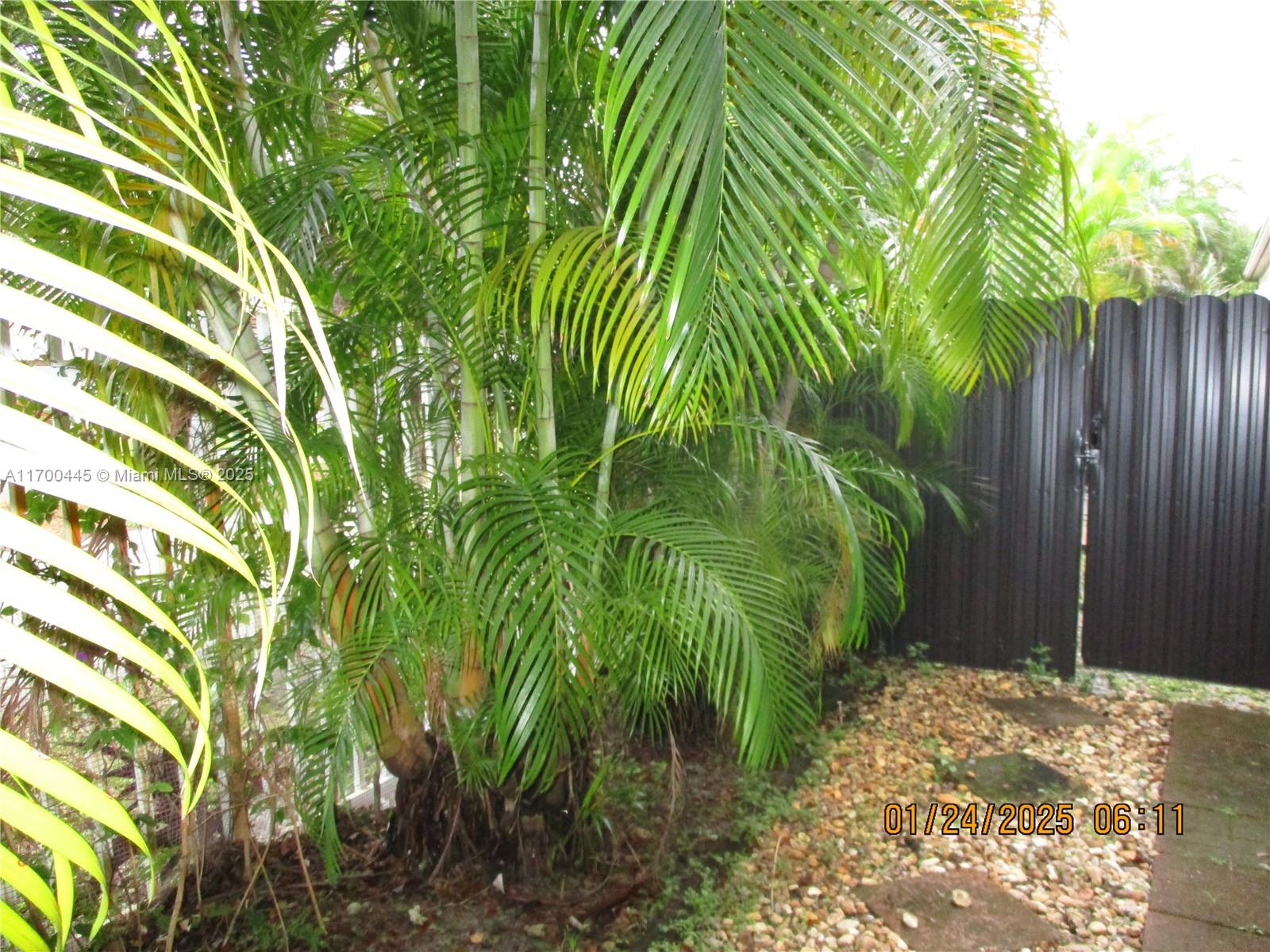 WASHINGTON PALMS CONDO - Residential Lease