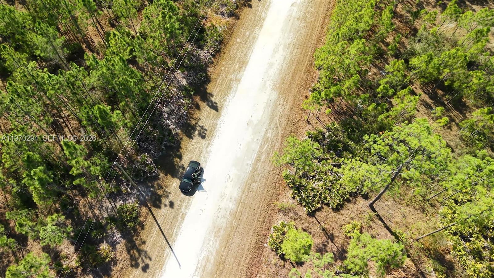 INDIAN LAKE ESTATES - Land