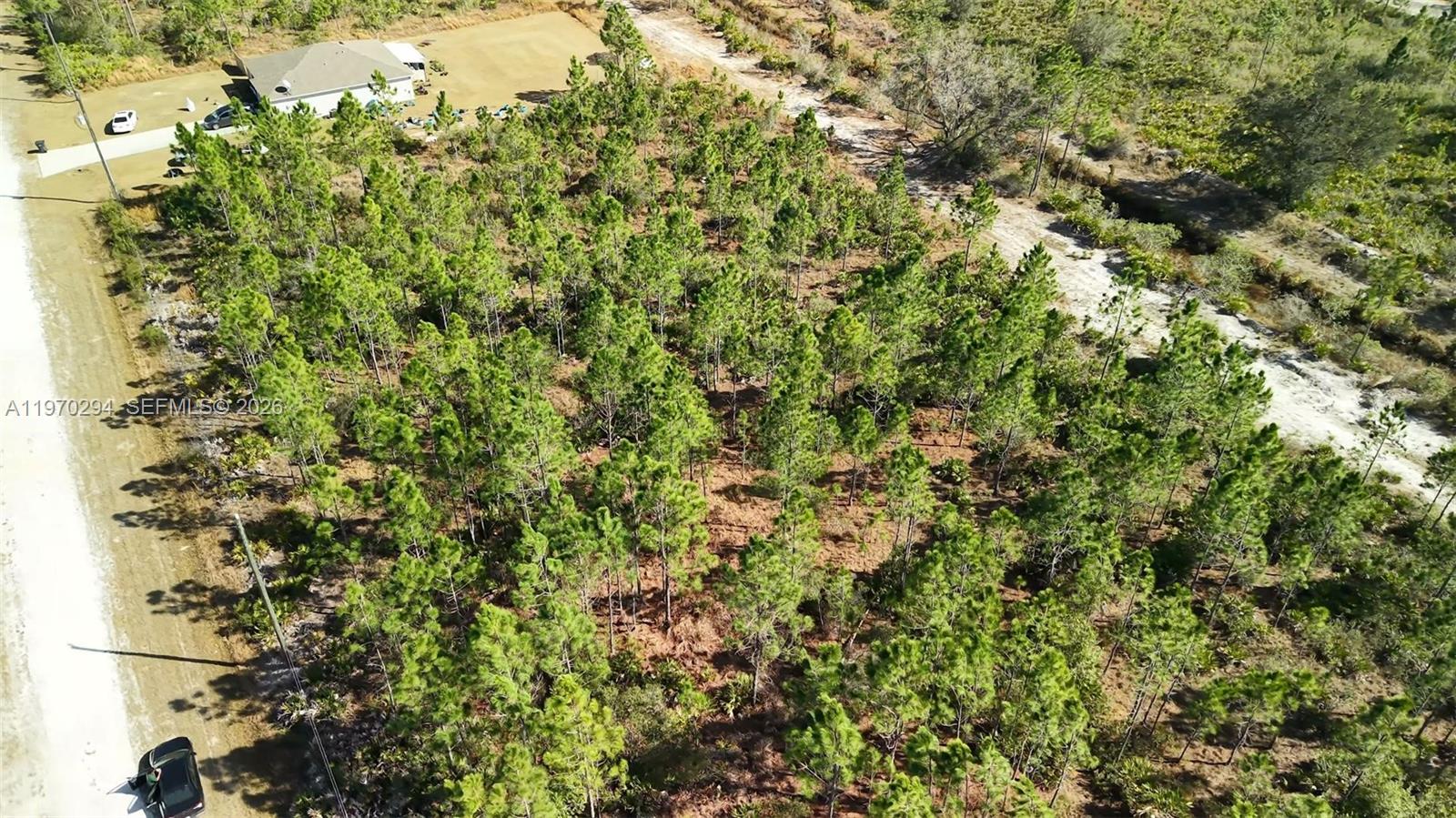 INDIAN LAKE ESTATES - Land