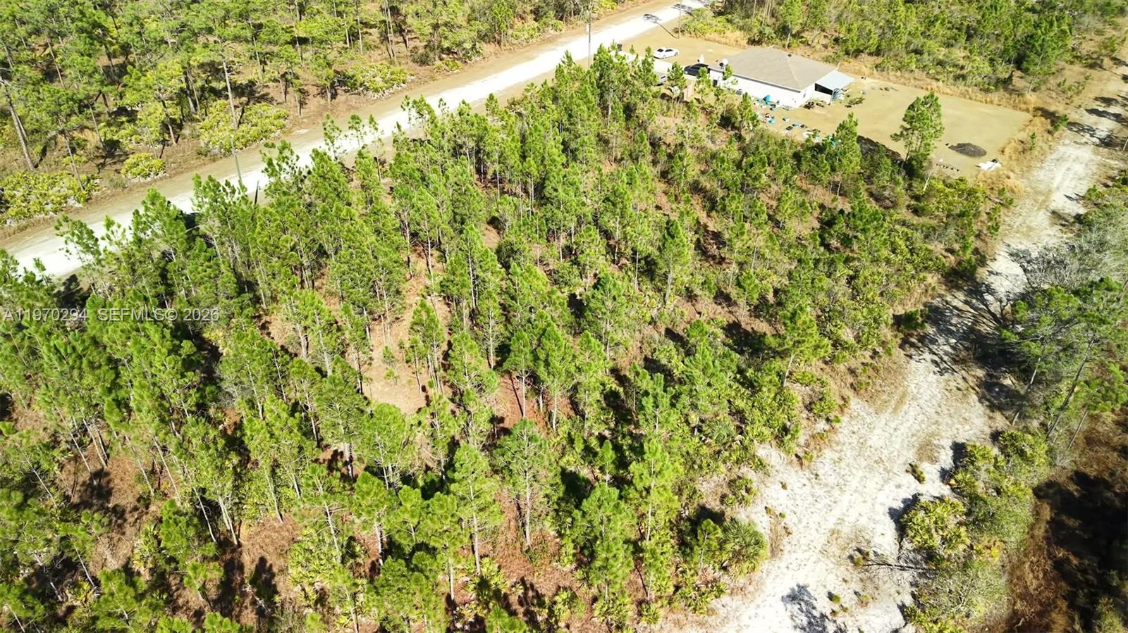 INDIAN LAKE ESTATES - Land