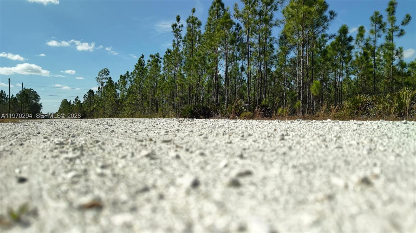 INDIAN LAKE ESTATES - Land