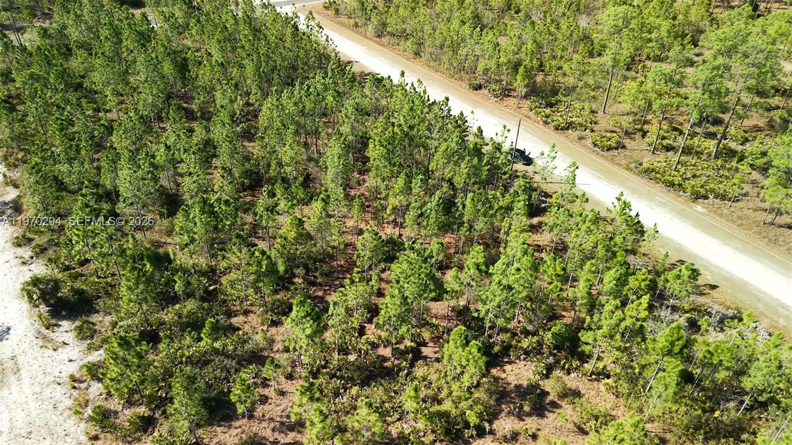 INDIAN LAKE ESTATES - Land