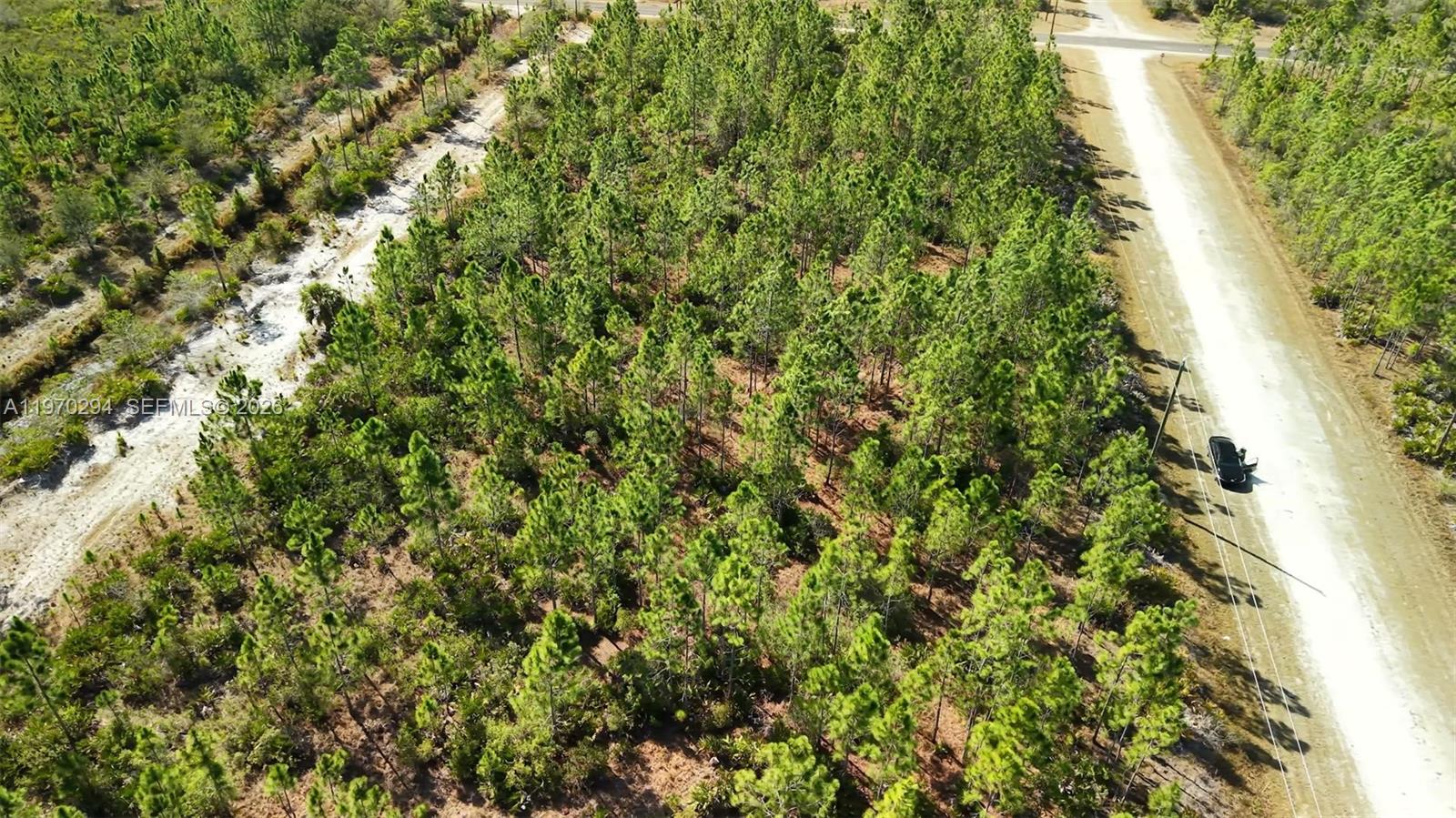 INDIAN LAKE ESTATES - Land