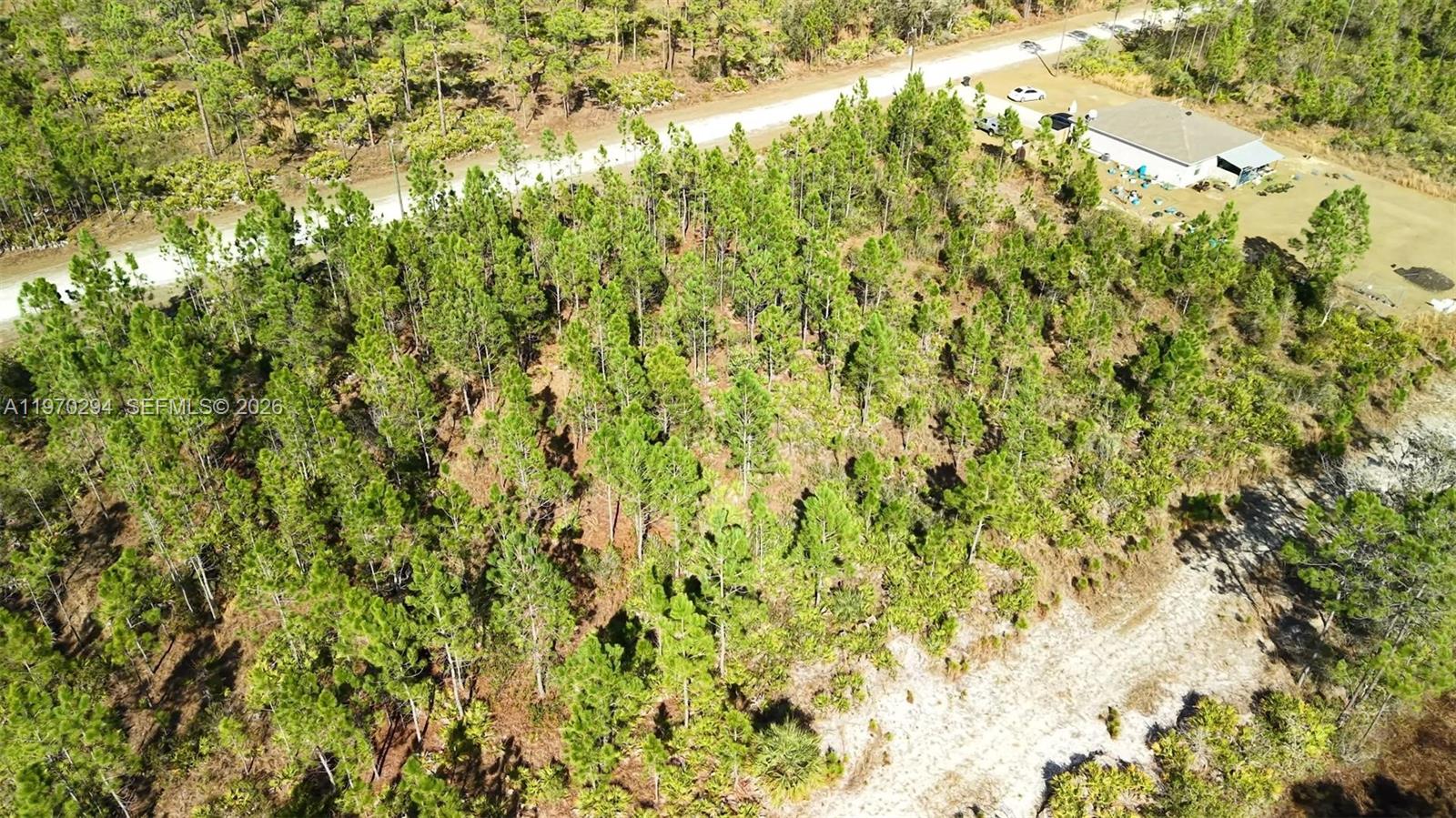 INDIAN LAKE ESTATES - Land