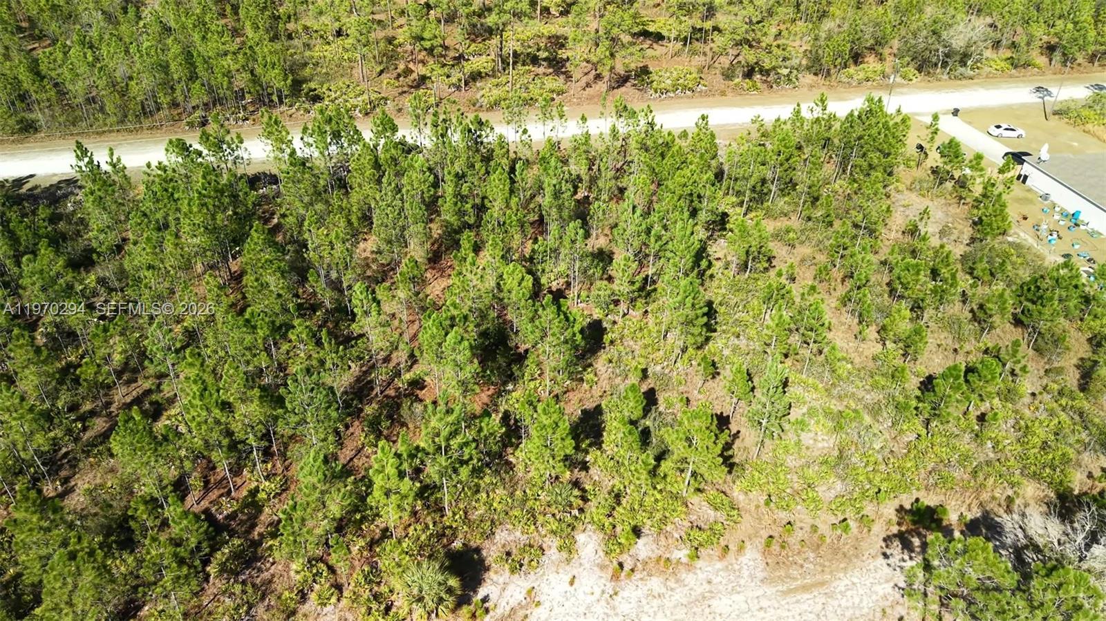 INDIAN LAKE ESTATES - Land