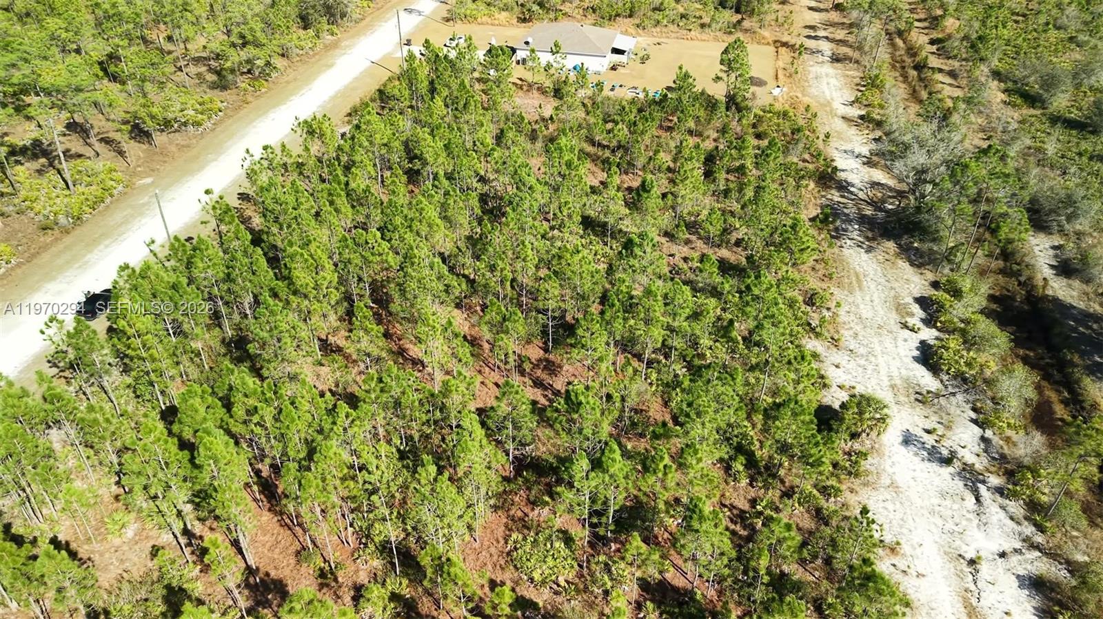 INDIAN LAKE ESTATES - Land