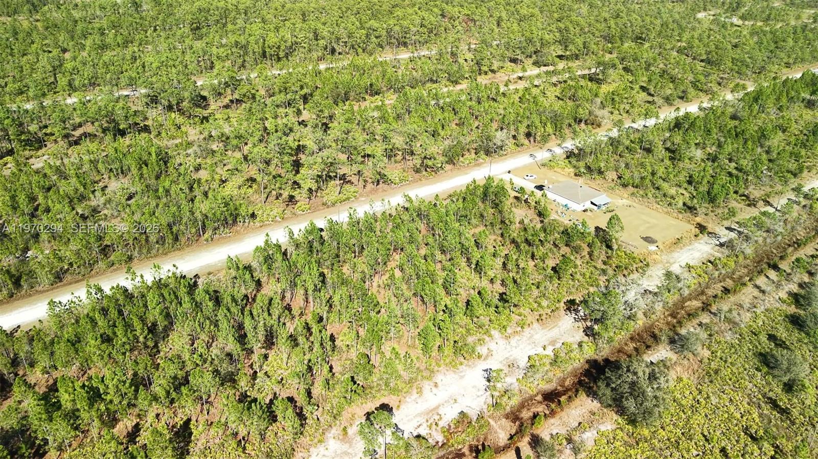 INDIAN LAKE ESTATES - Land