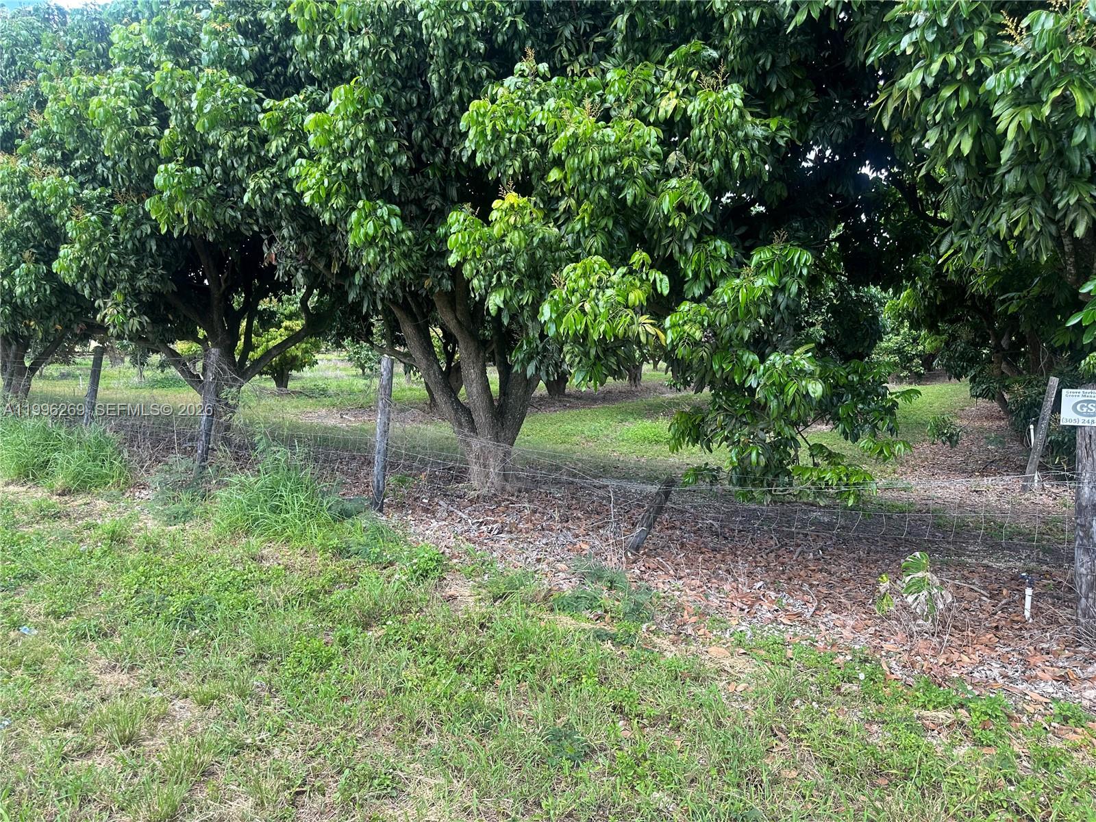 SOUTH REDLAND - Land