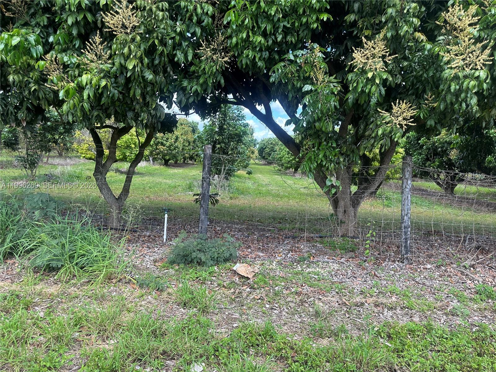 SOUTH REDLAND - Land