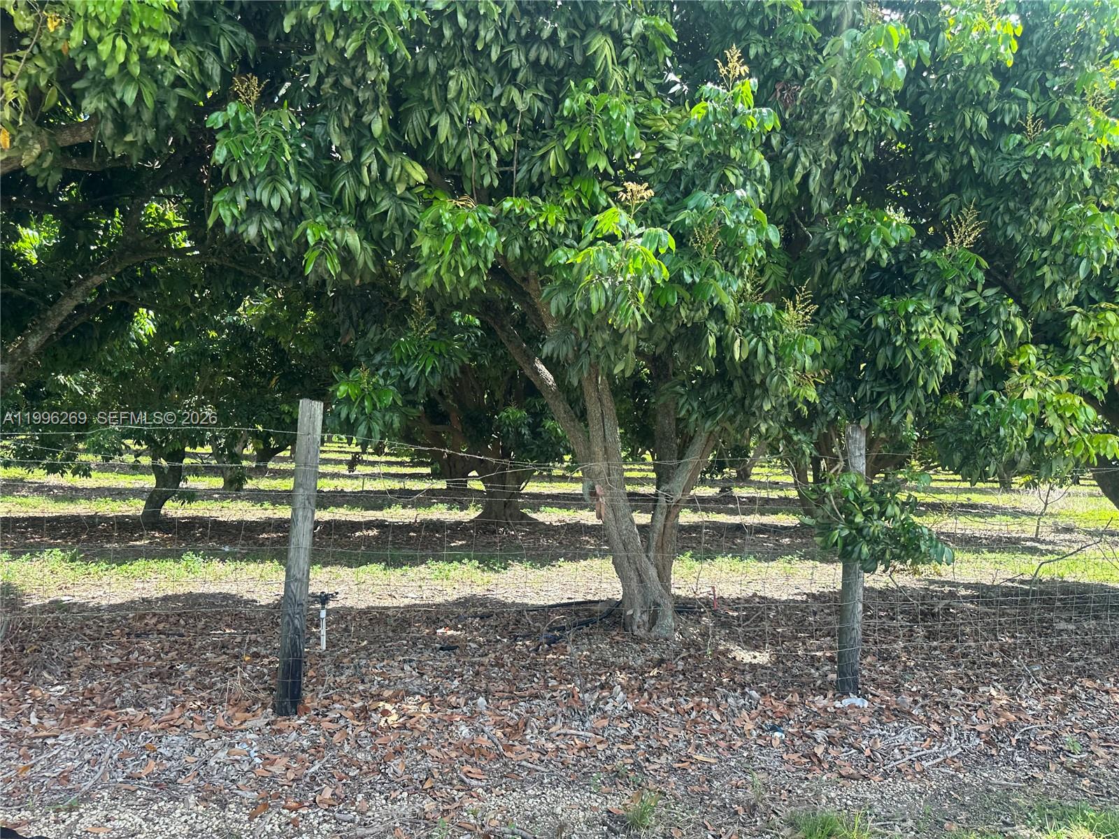 SOUTH REDLAND - Land