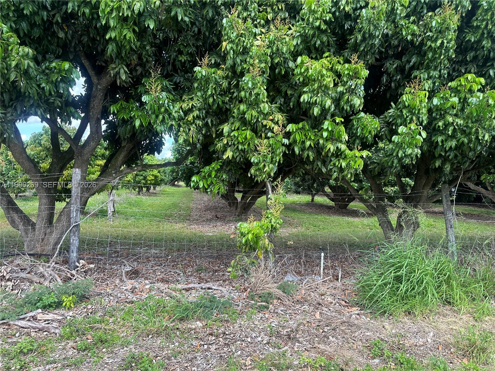 SOUTH REDLAND - Land