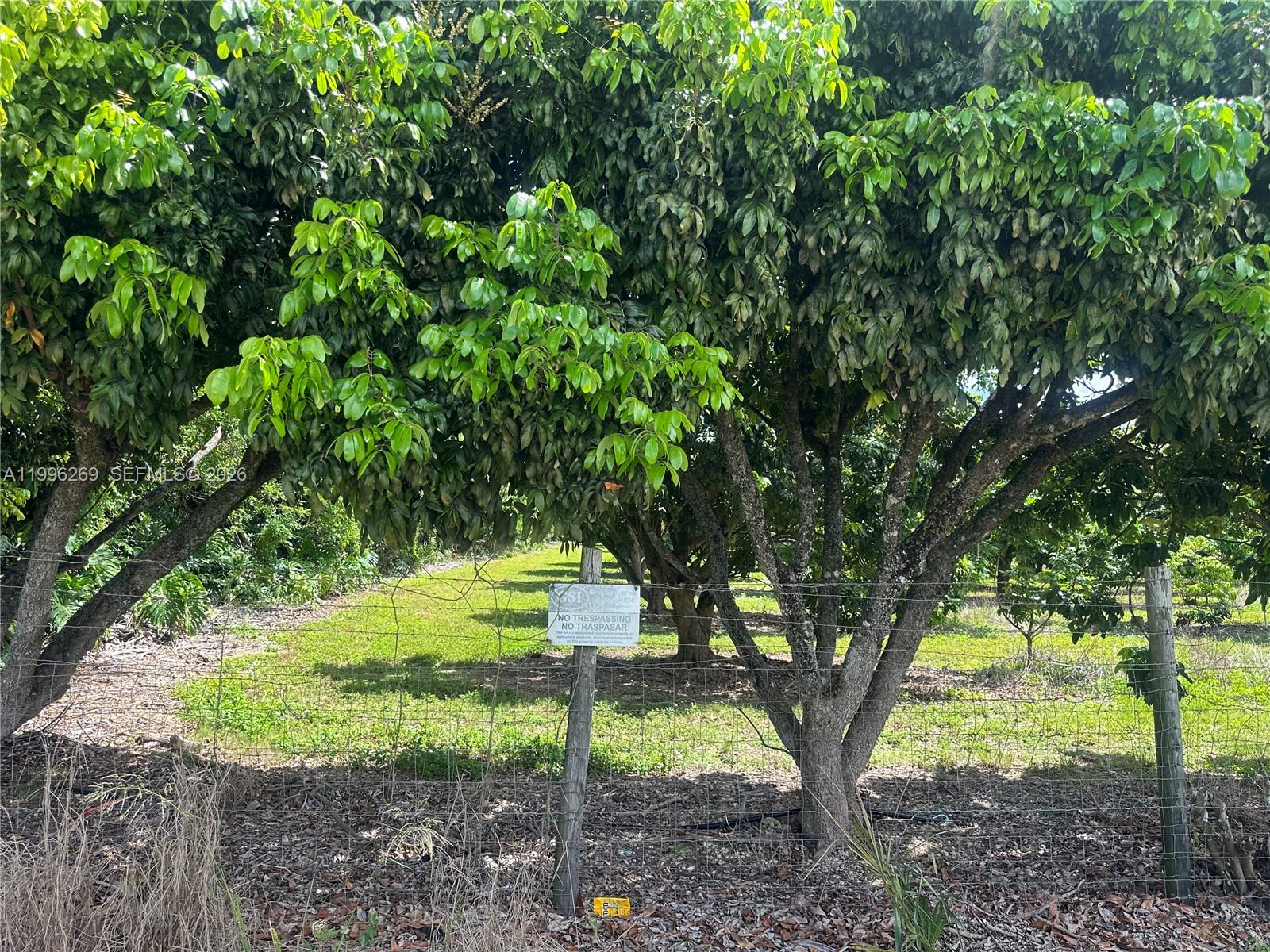 SOUTH REDLAND - Land