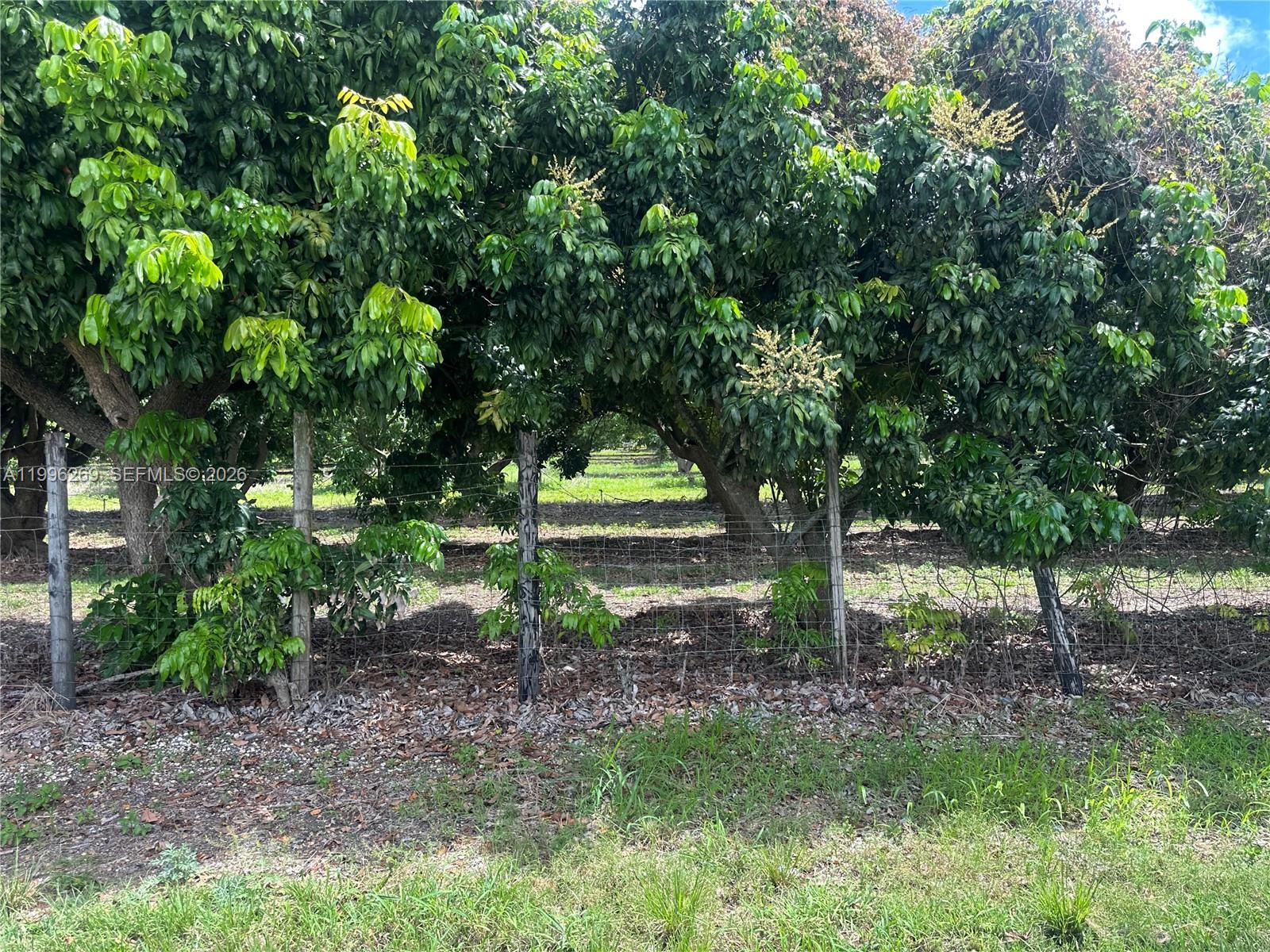 SOUTH REDLAND - Land