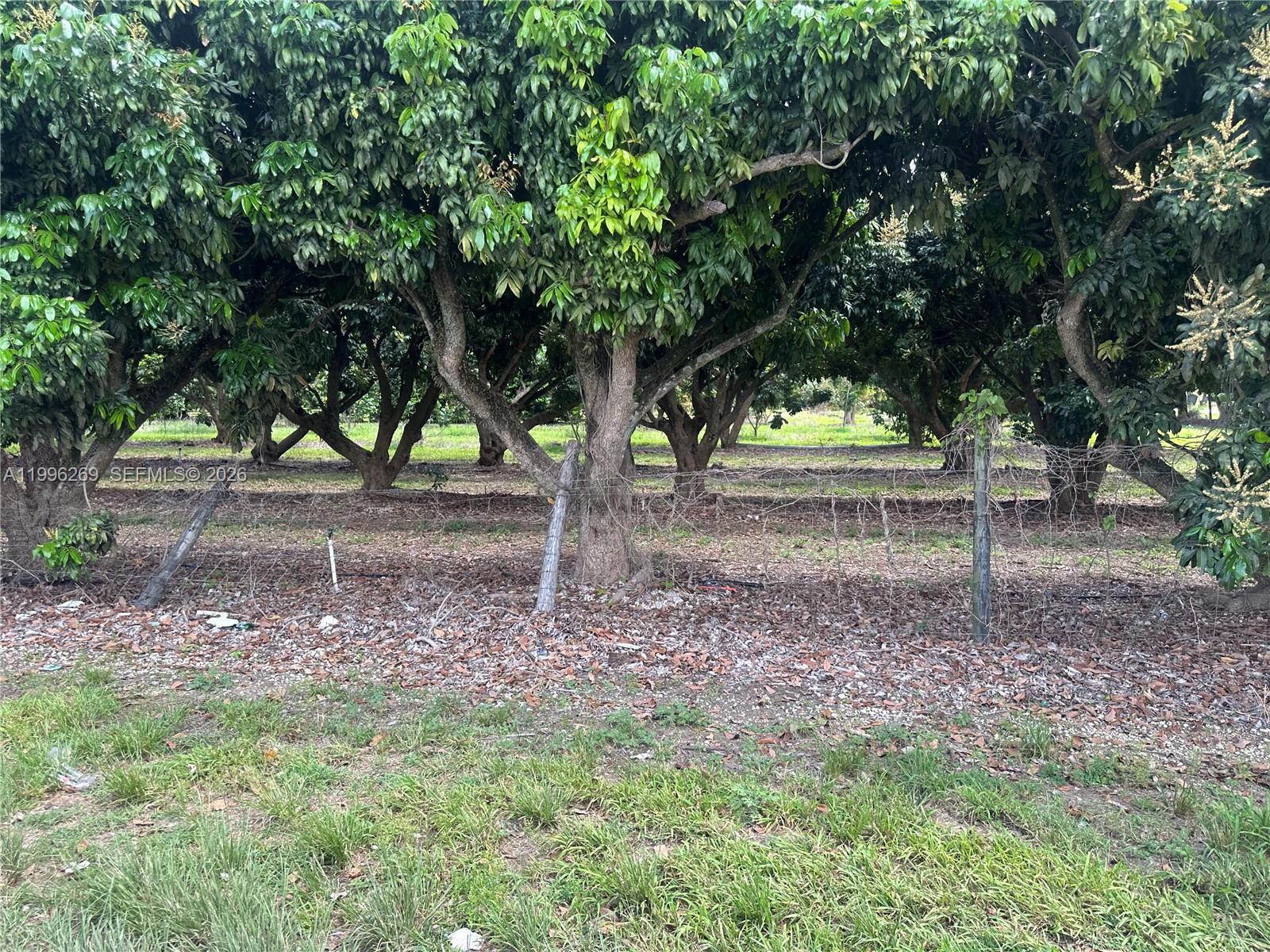 SOUTH REDLAND - Land