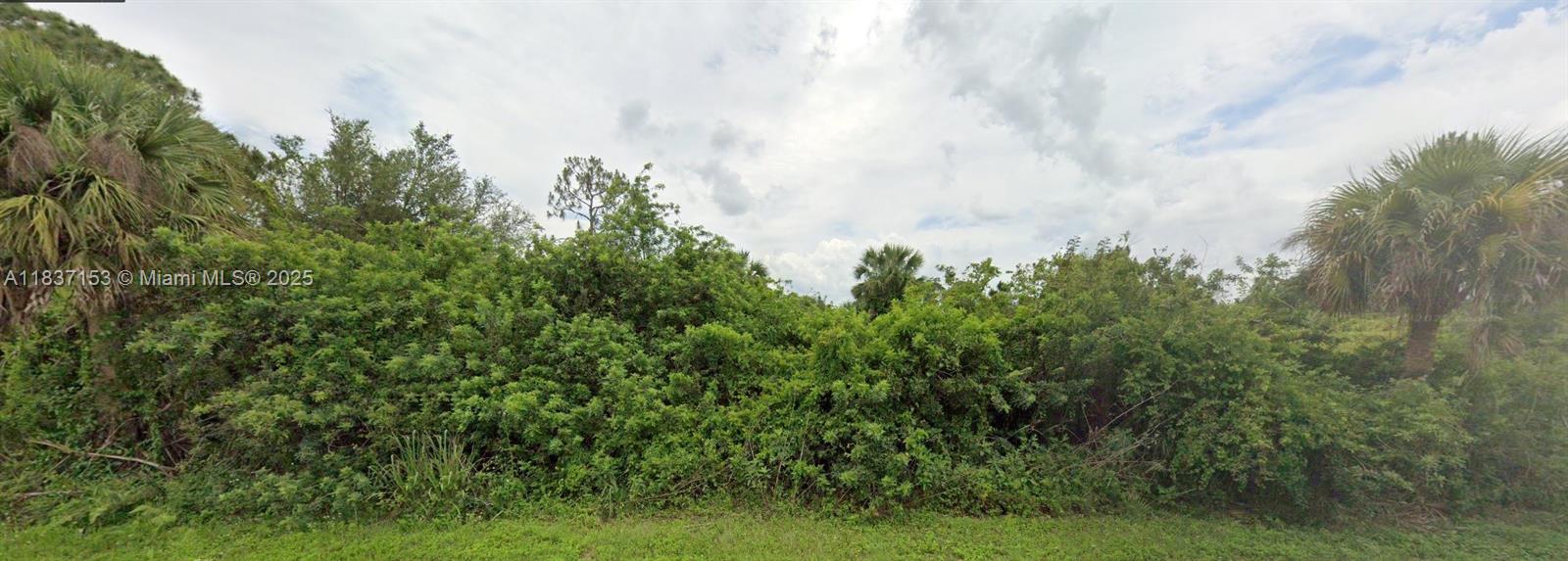 Build Your Dream Home in Lehigh Acres! This spacious vacant quarter acre lot is ready for you to build your custom single-family home in the growing community of Lehigh Acres! Enjoy peaceful surroundings, affordable living, and easy access to Fort Myers while being close to shopping, dining, parks, and top-rated schools. With plenty of new development in the area, this is the perfect opportunity to invest in Florida living! SELLER FINANCING AVAILABLE!!
The buyer’s agent or broker is required to be present at all showings, meetings, inspections, and appointments. Unaccompanied buyers will not be permitted access to the property.