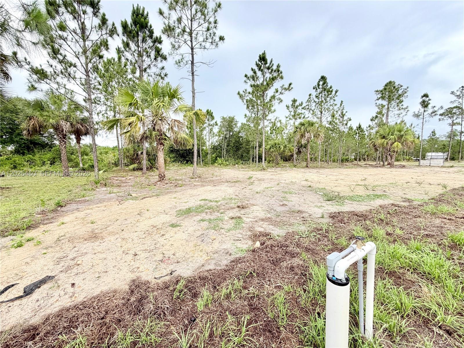 Lee County Unincorporated - Residential