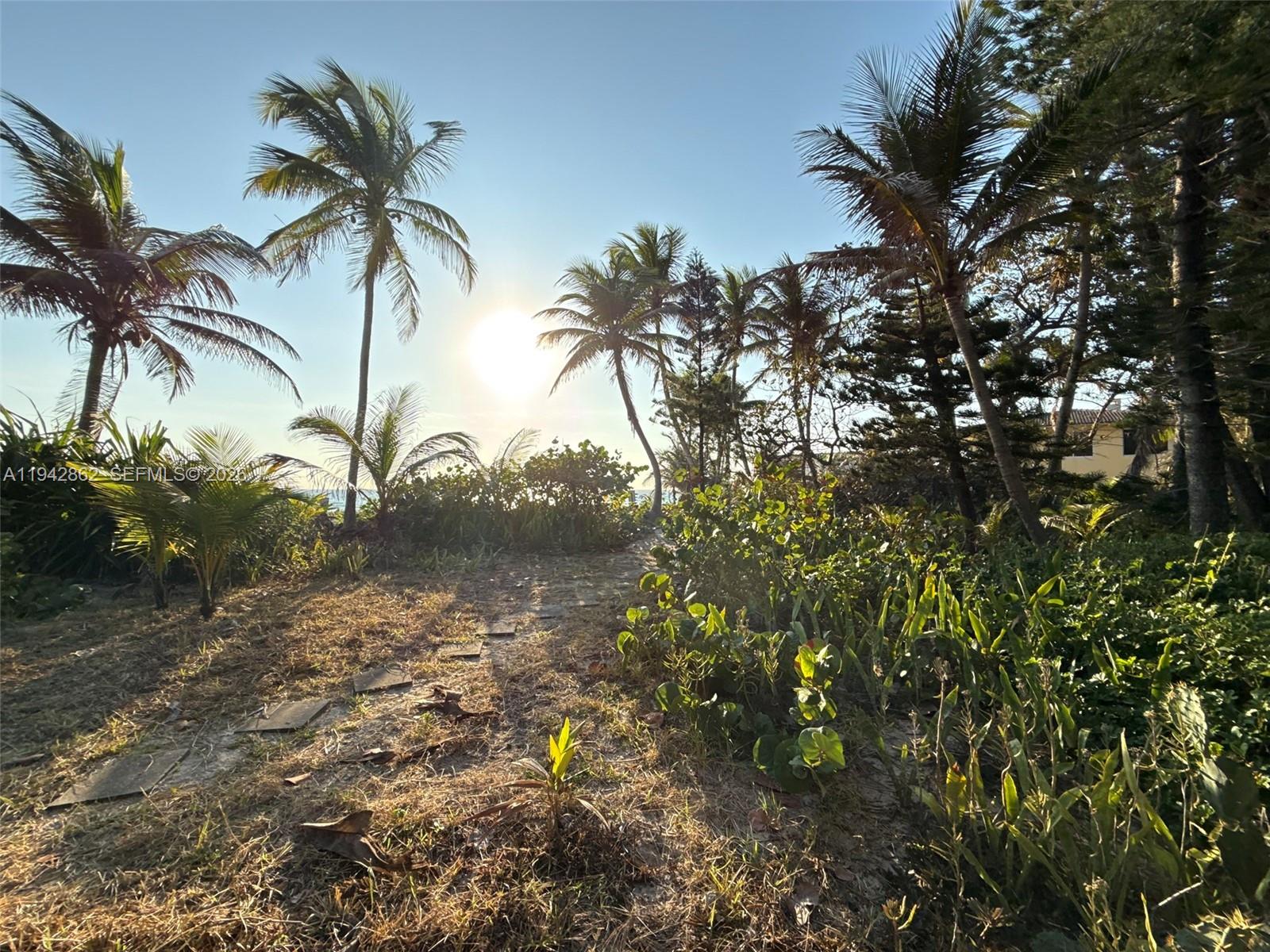 HOLLYWOOD CENTRAL BEACH - Land
