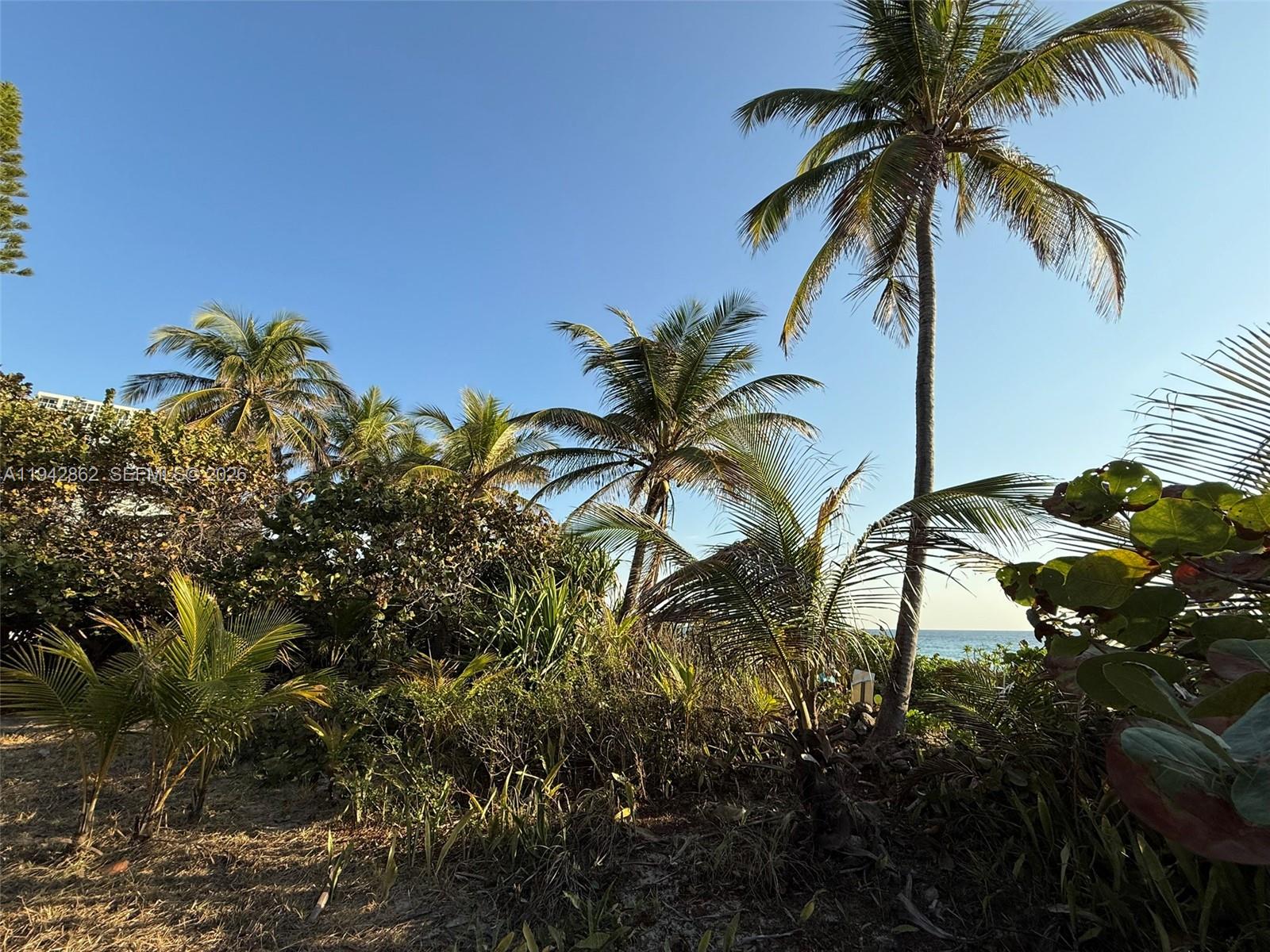 HOLLYWOOD CENTRAL BEACH - Land