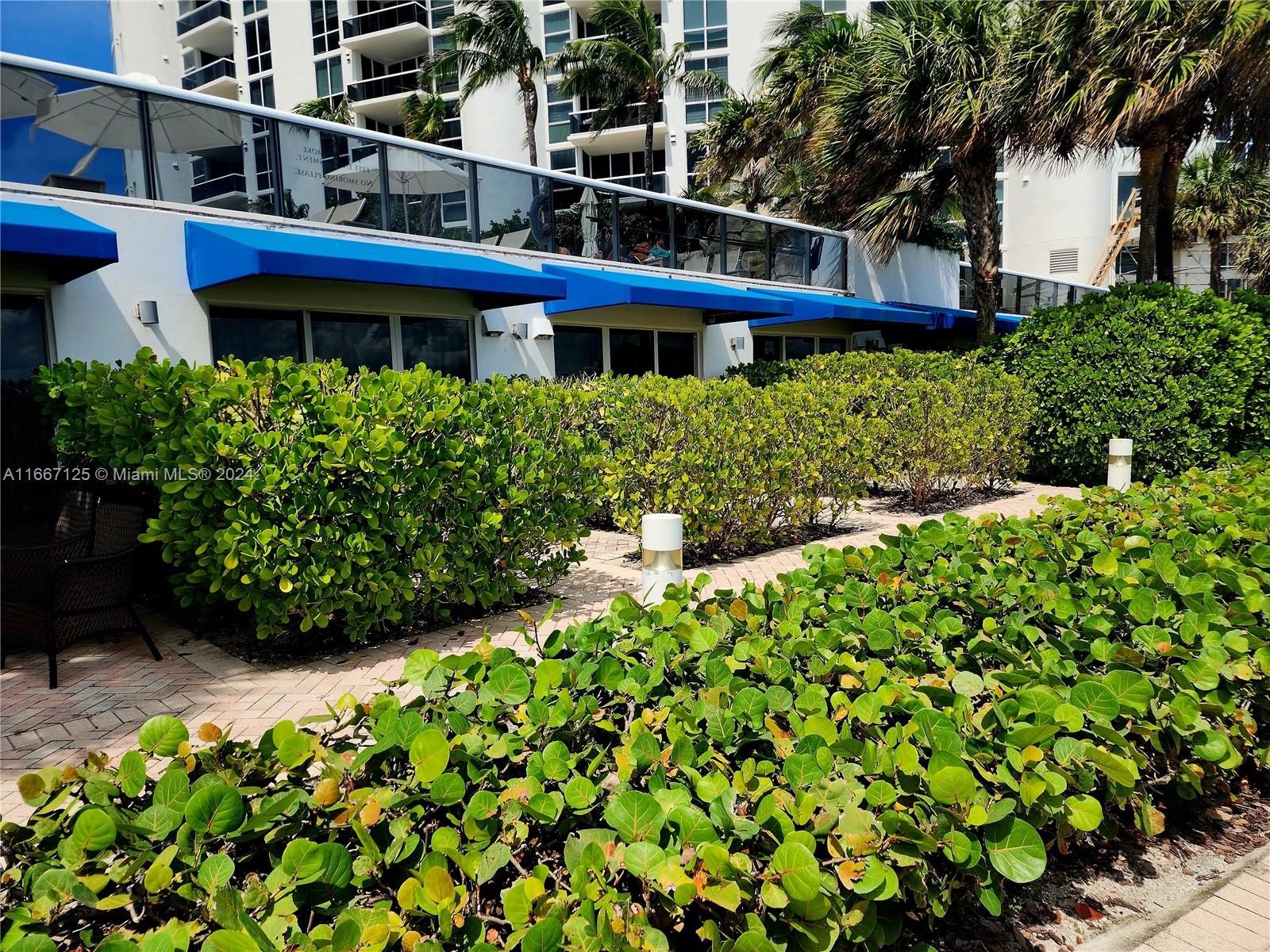 TRUMP PALACE CONDO - Residential