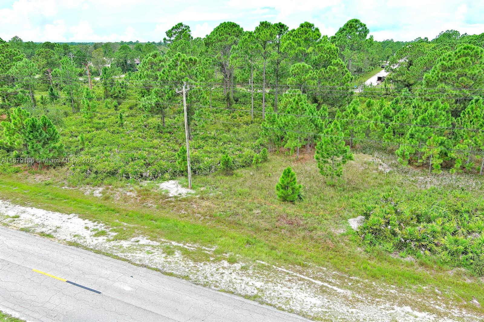 LEHIGH ACRES - Land
