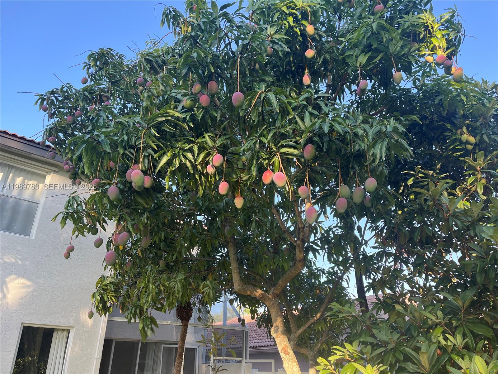 SILVER LAKES PHASE III - Residential