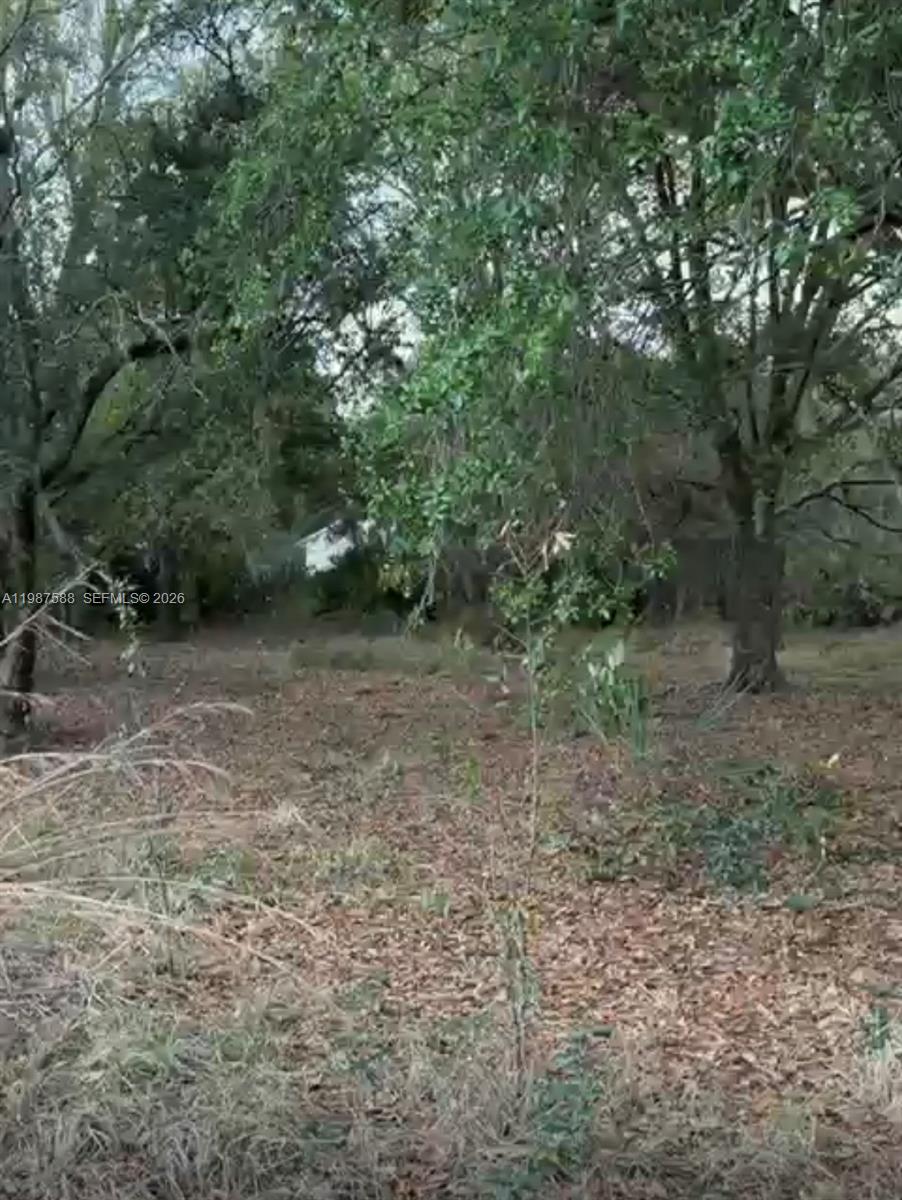 placid park land - Residential