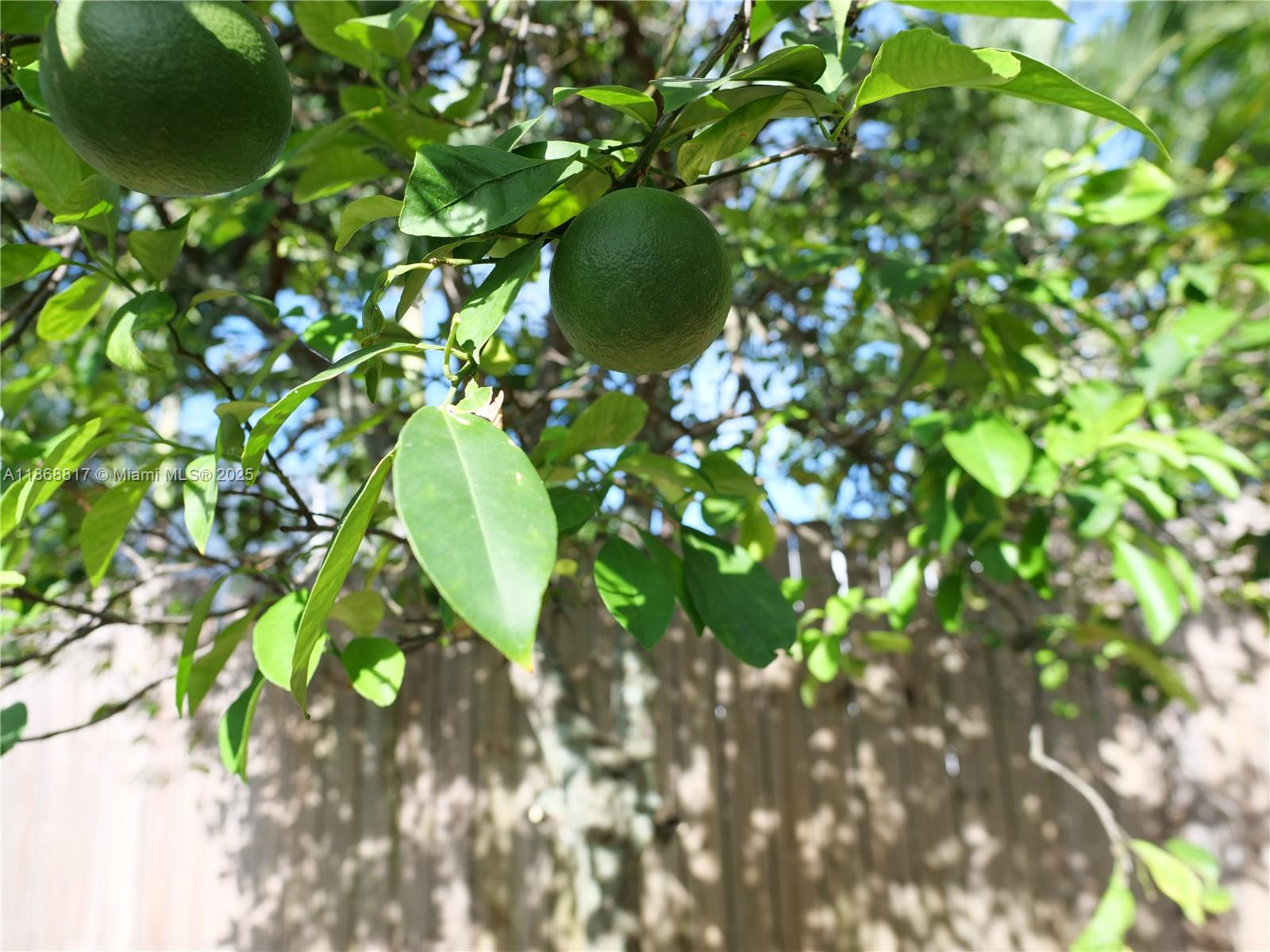SHADOWLAWN EXTENSION SUB - Residential