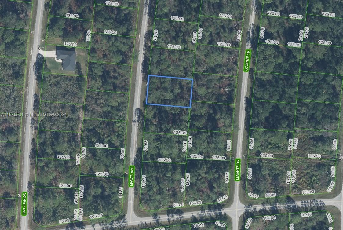 BUILDER'S DREAM INVESTMENT OPPORTUNITY!! ADJACENT LOT IS ALSO AVAILABLE. BUY BOTH FOR $45,900. Has power, paved road and is 1 block from golf course. Sun N Lakes development is building 100 acre water and sewage facility 2 blocks away. Sun N Lakes community, a perfect place to build your dream home in which to raise your kids or retire. The Sun N Lakes community offers 2 18-Hole championship golf courses, restaurant, clubhouse, gym, playground, community pool, splash pad, community center, fitness center, pickle ball, and tennis. Sebring is centrally located 1.5 hours from Disney, 1.5 hours from Tampa and 1.45 hours from Ana Maria Island Beaches. Located close to Advent health and Sun N Lake Elementary. OWNER WILL FINANCE!!! 3K DOWN 676.21 A MONTH FOR 36 MONTHS AT 7% INTREST.