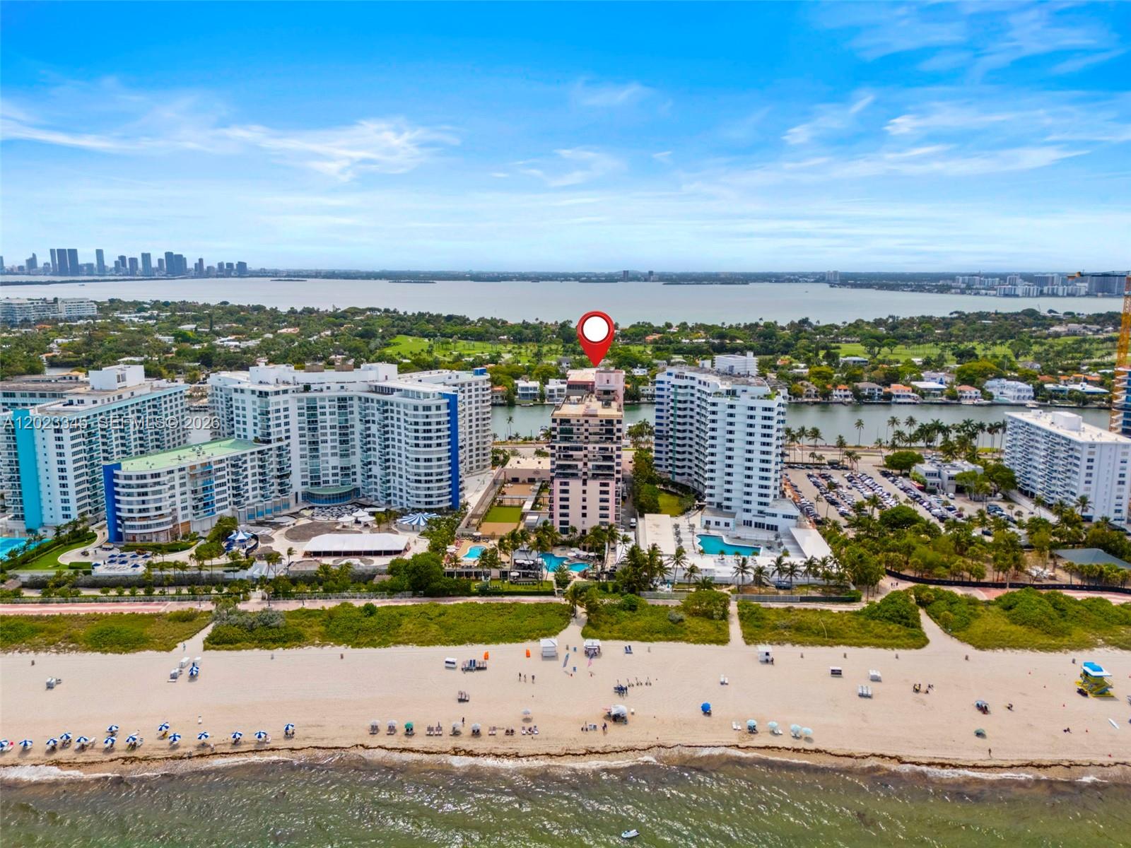 THE ALEXANDER CONDO - Residential