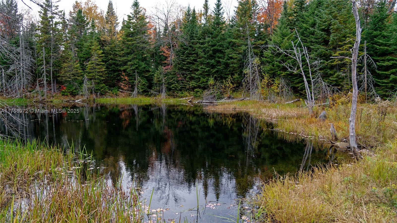 Saint Calixte - Residential