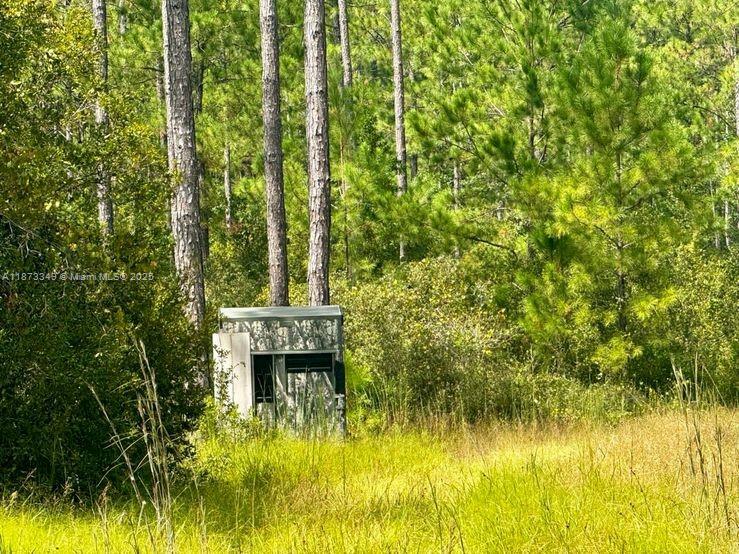 Aucilla Plantation - Land