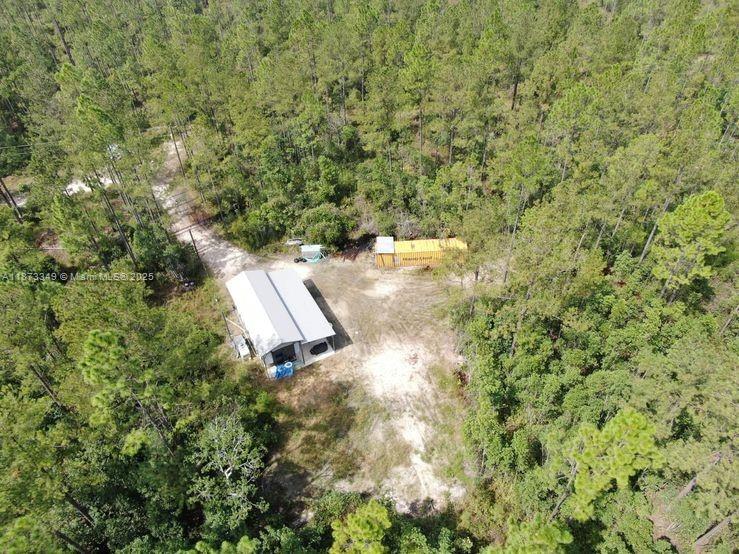 Aucilla Plantation - Land